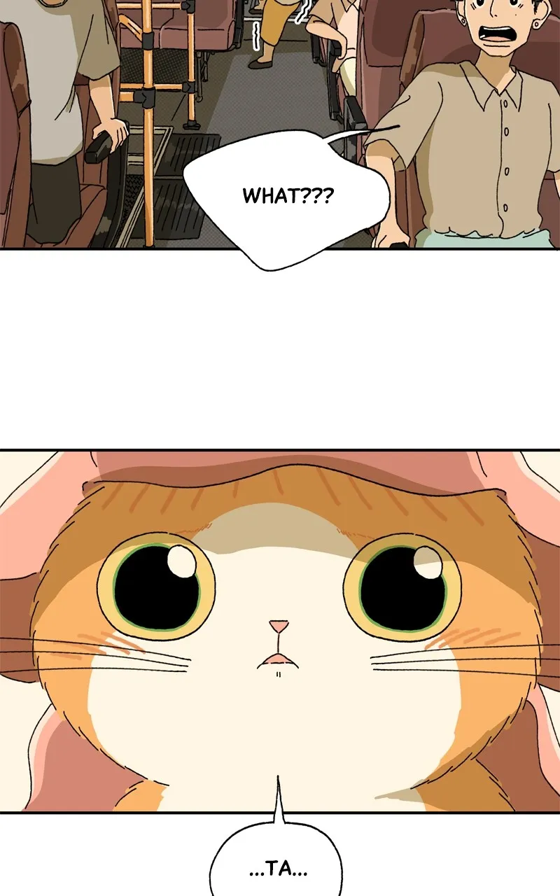 Tata the Cat Chapter 18 page 48 - 
