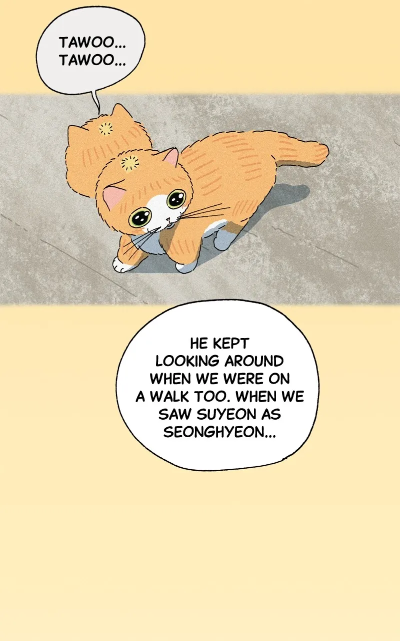 Tata the Cat Chapter 18 page 6 - 