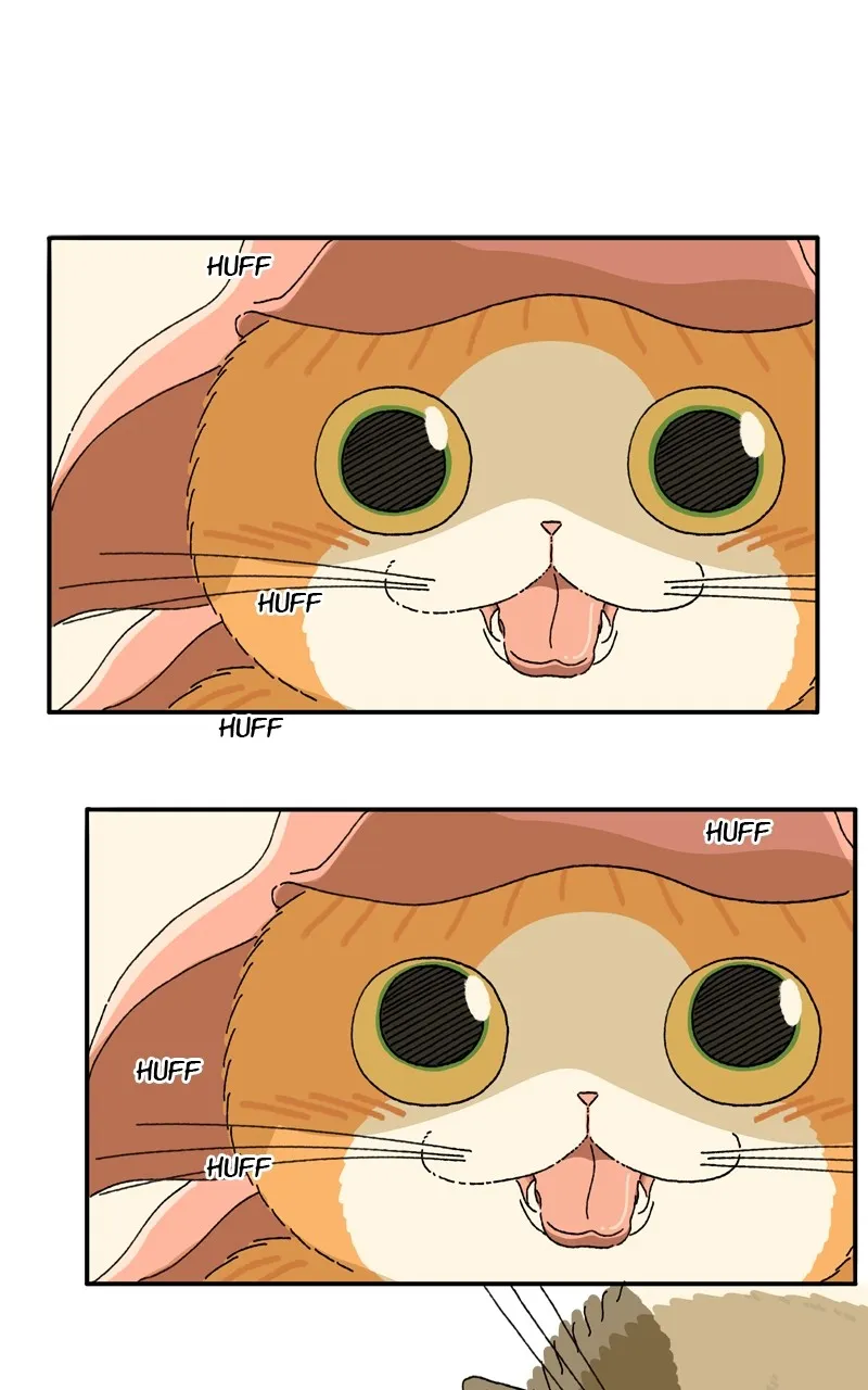 Tata the Cat Chapter 18 page 65 - 