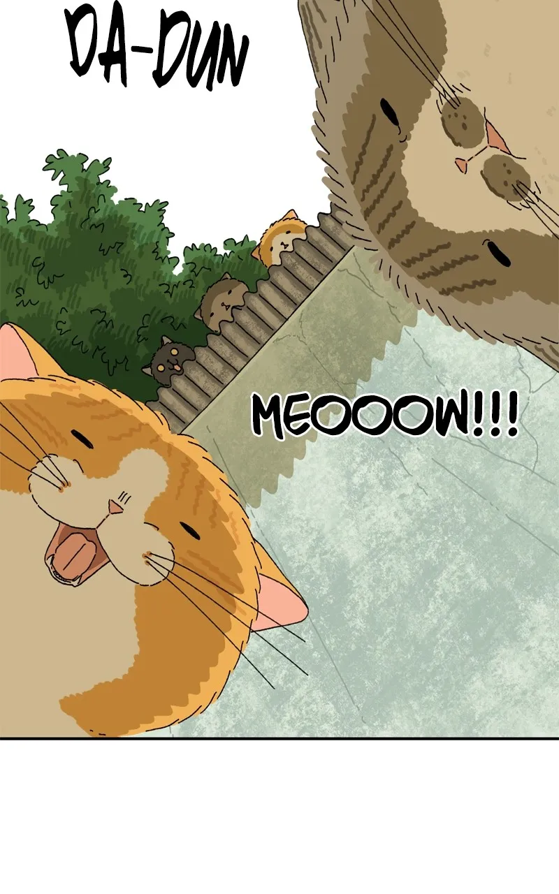 Tata the Cat Chapter 18 page 66 - 