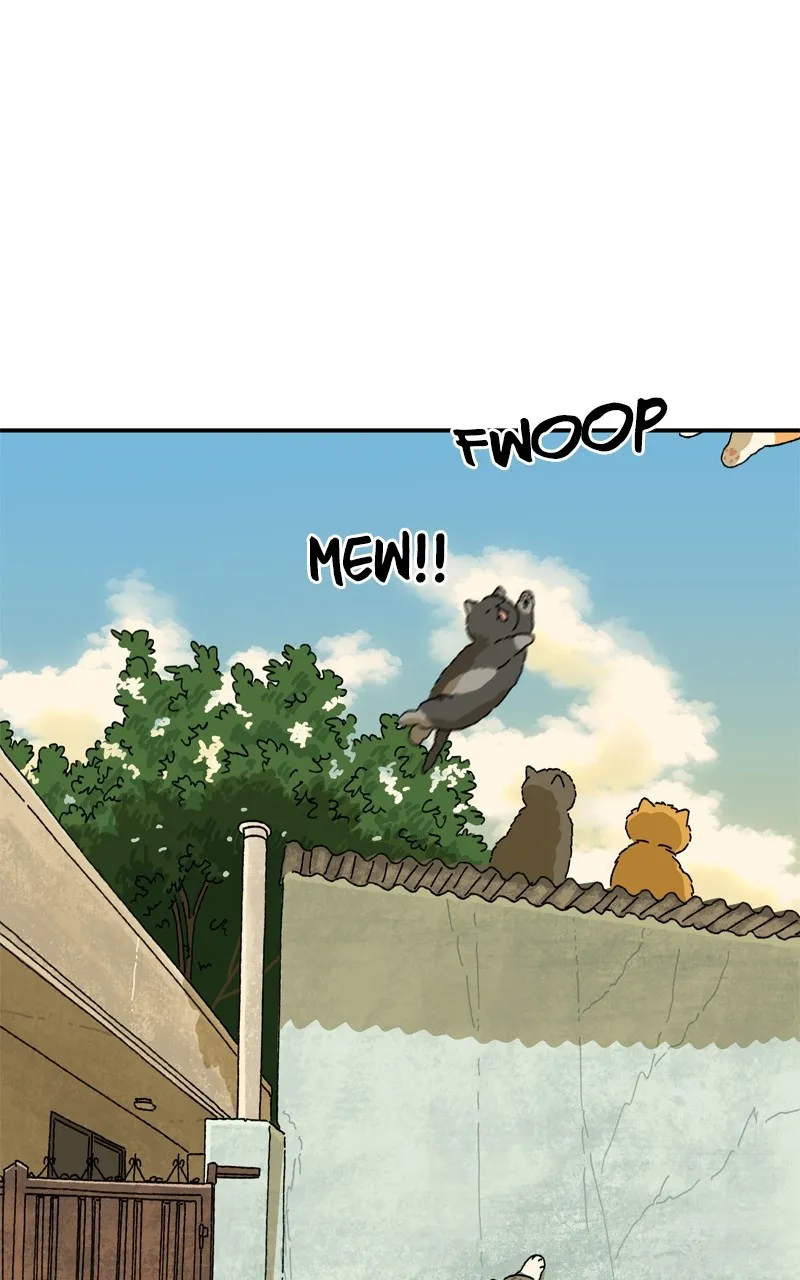 Tata the Cat Chapter 18 page 67 - 