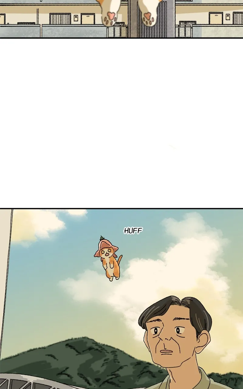 Tata the Cat Chapter 18 page 72 - 