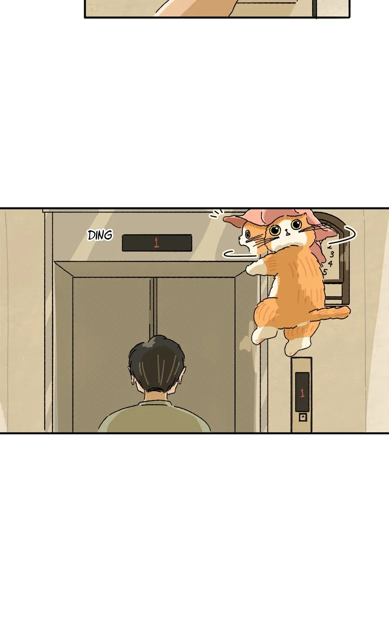 Tata the Cat Chapter 18 page 75 - 