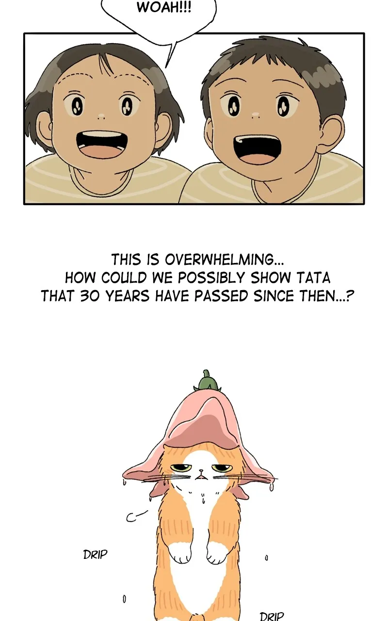 Tata the Cat Chapter 18 page 9 - 