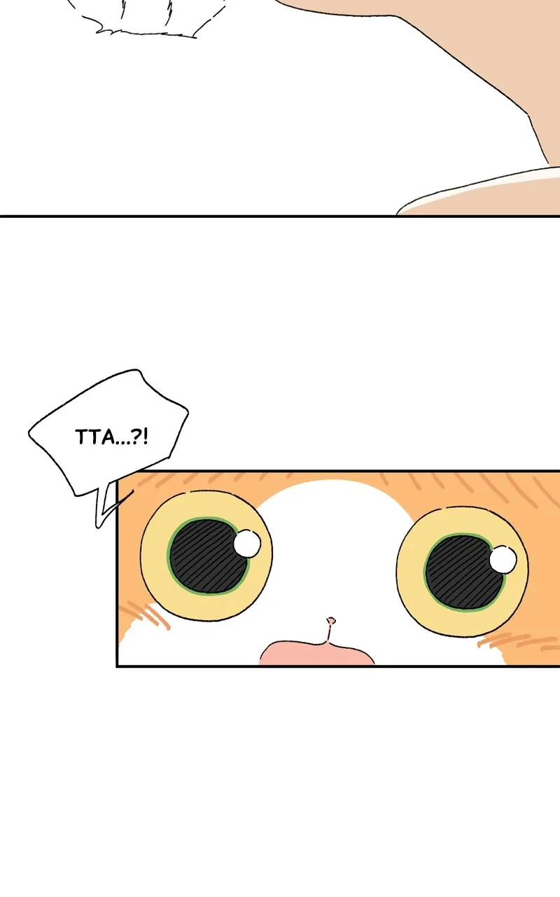 Tata the Cat Chapter 19 page 20 - 