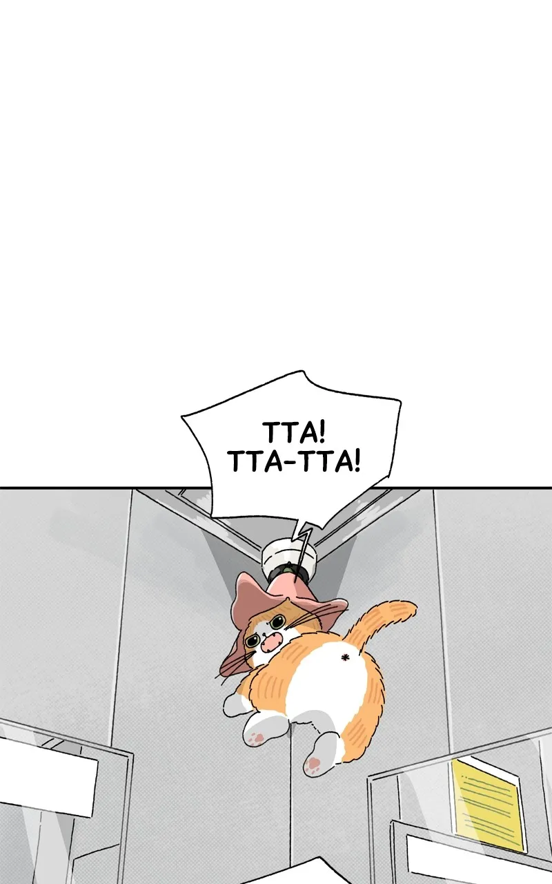 Tata the Cat Chapter 19 page 21 - 