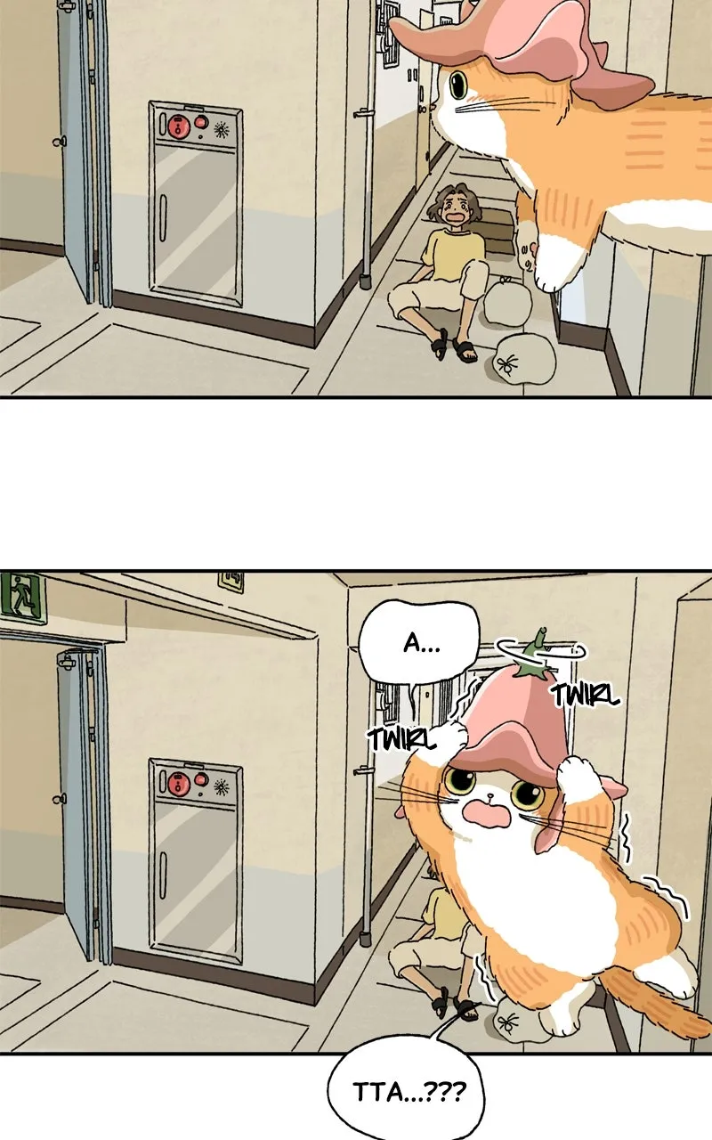 Tata the Cat Chapter 19 page 27 - 