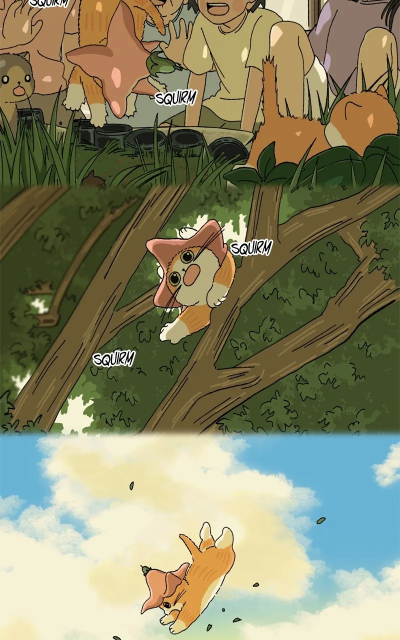 Tata the Cat Chapter 19 page 39 - 
