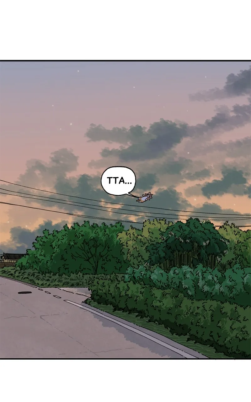 Tata the Cat Chapter 19 page 56 - 