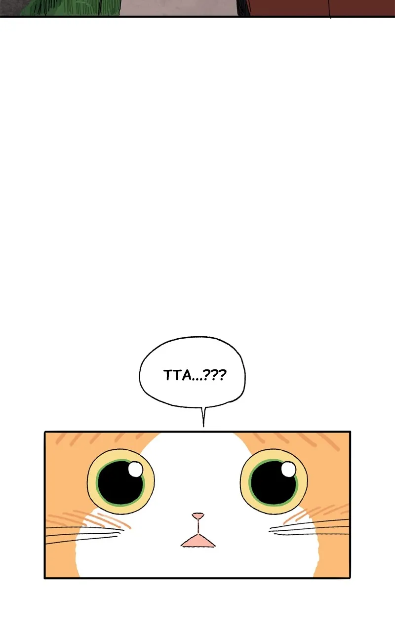 Tata the Cat Chapter 19 page 58 - 