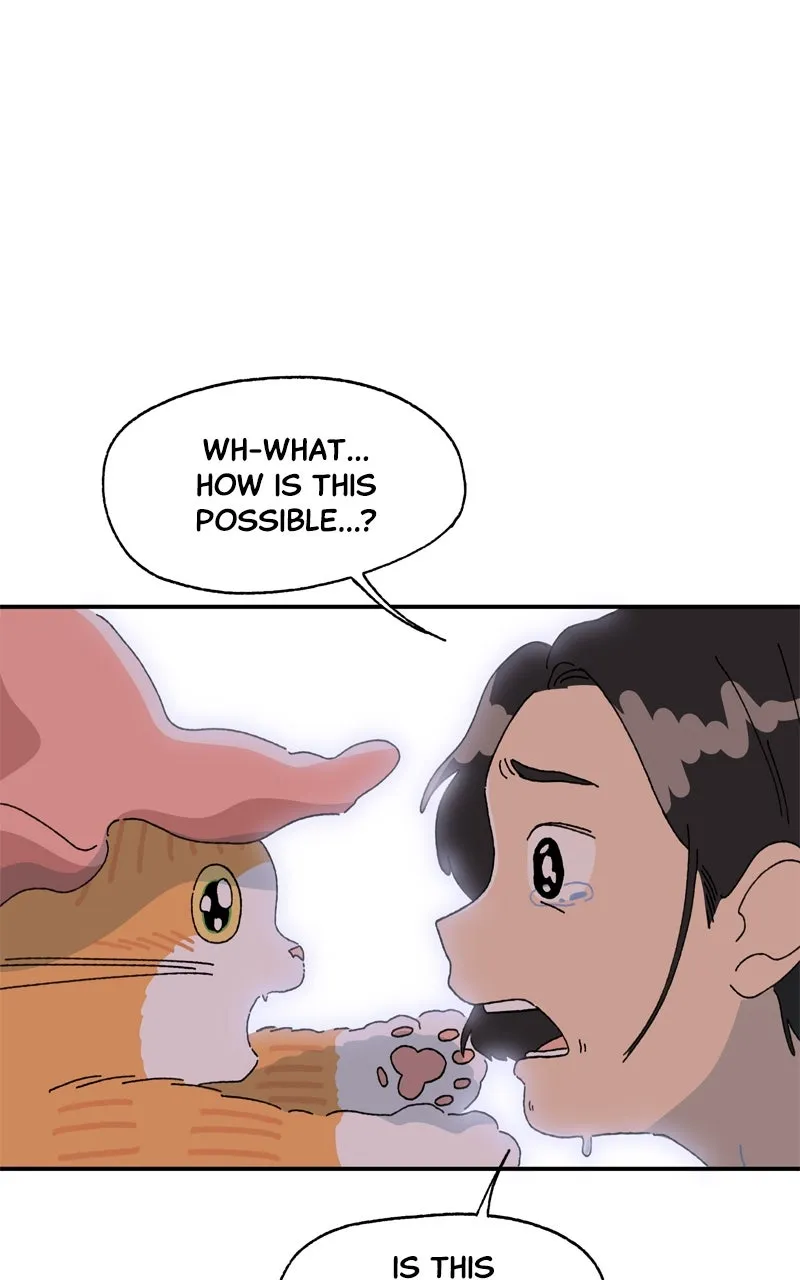 Tata the Cat Chapter 19 page 75 - 
