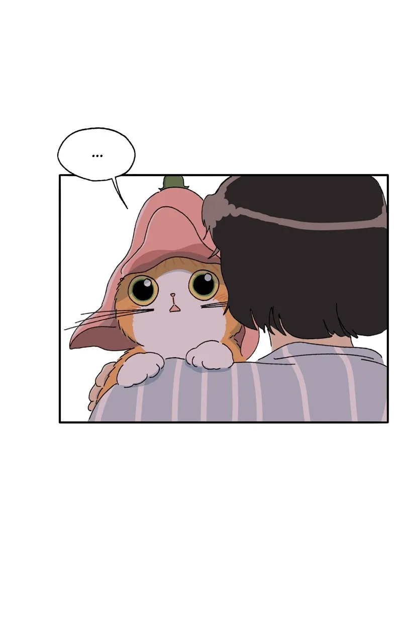Tata the Cat Chapter 19 page 81 - 
