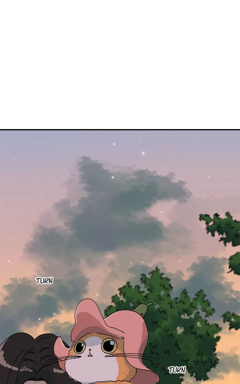 Tata the Cat Chapter 19 page 82 - 