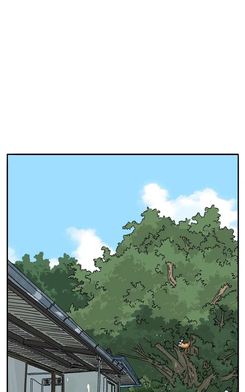 Tata the Cat Chapter 2 page 1 - 