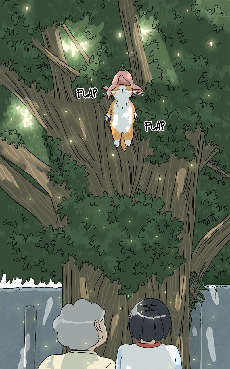 Tata the Cat Chapter 2 page 11 - 