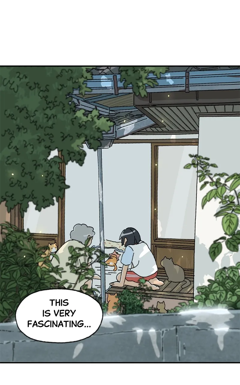 Tata the Cat Chapter 2 page 21 - 