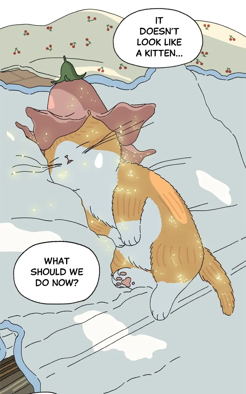 Tata the Cat Chapter 2 page 22 - 