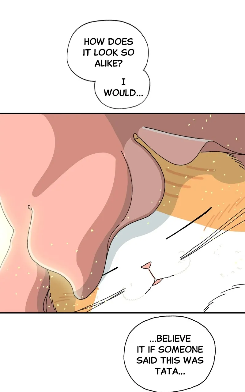 Tata the Cat Chapter 2 page 29 - 
