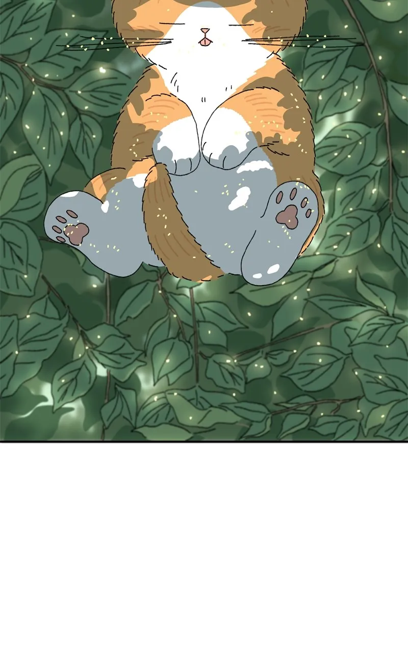 Tata the Cat Chapter 2 page 4 - 