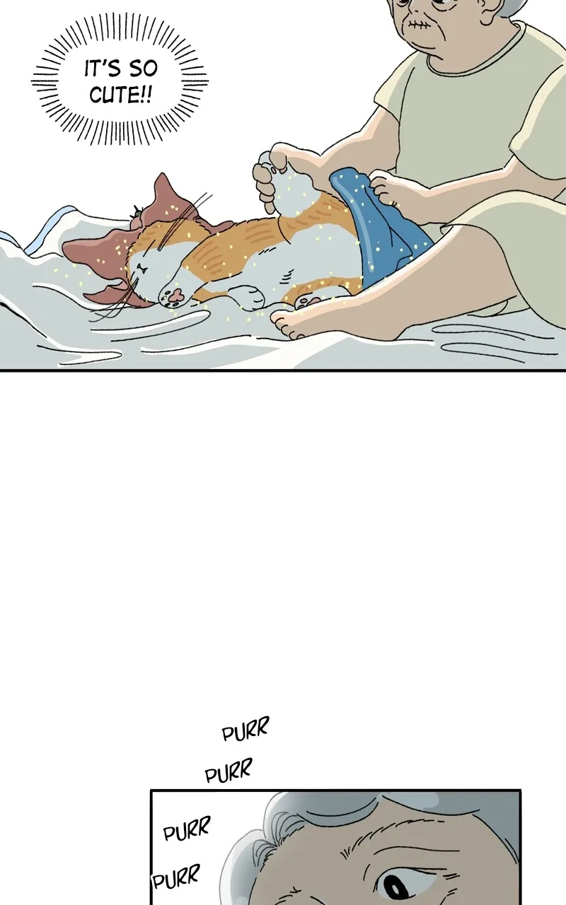 Tata the Cat Chapter 2 page 48 - 