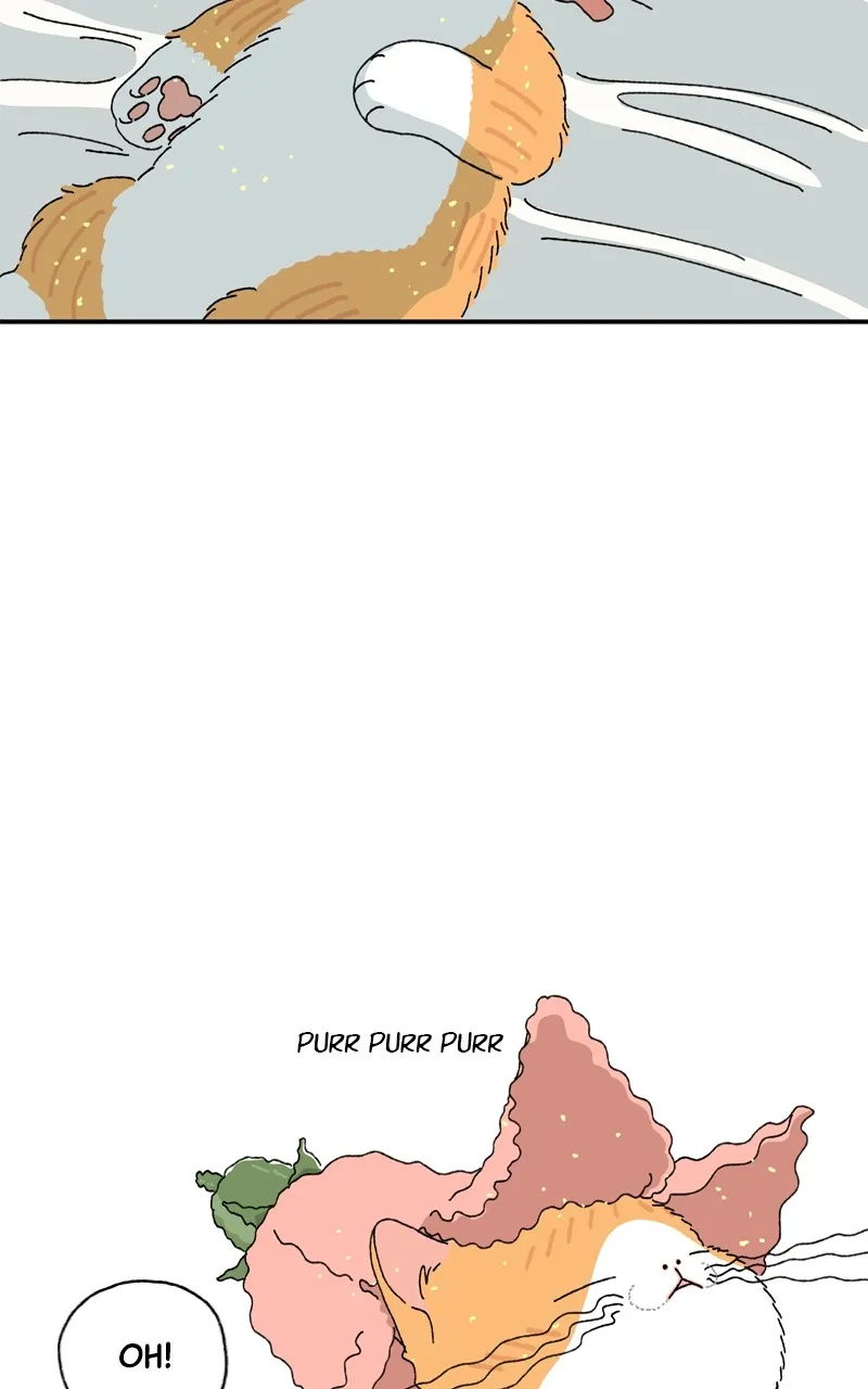 Tata the Cat Chapter 2 page 50 - 