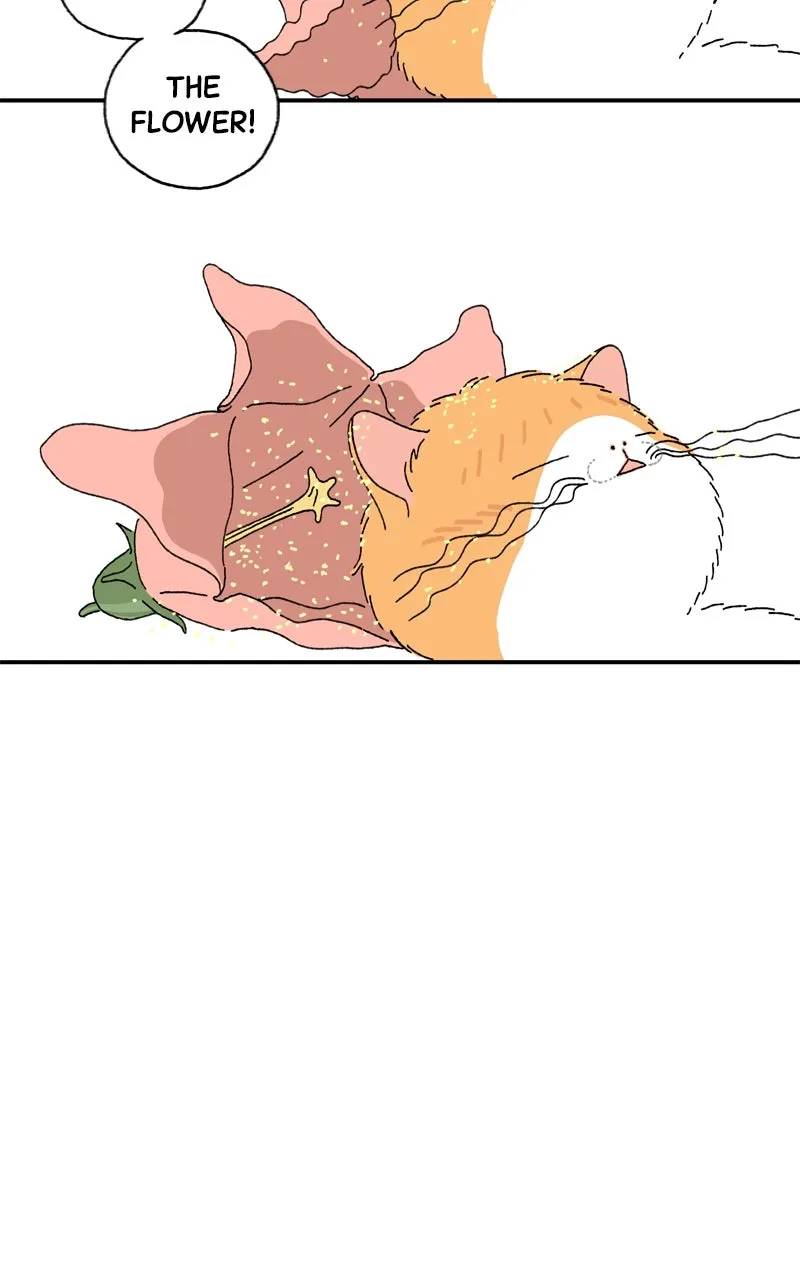 Tata the Cat Chapter 2 page 51 - 
