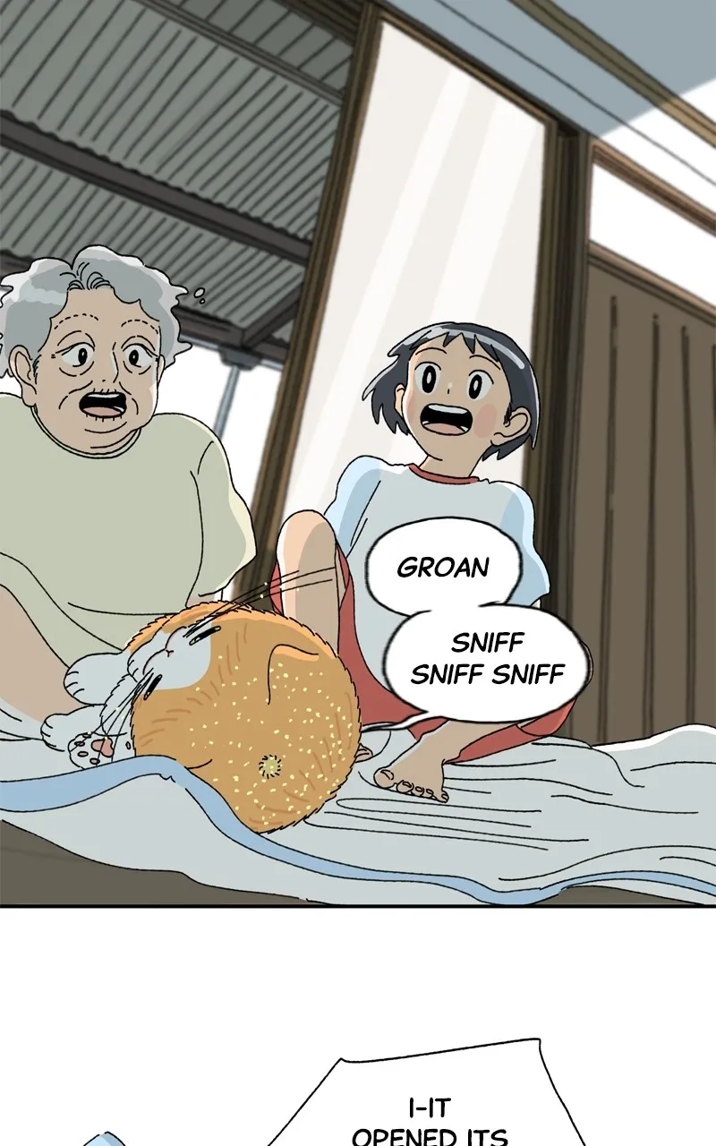 Tata the Cat Chapter 2 page 65 - 