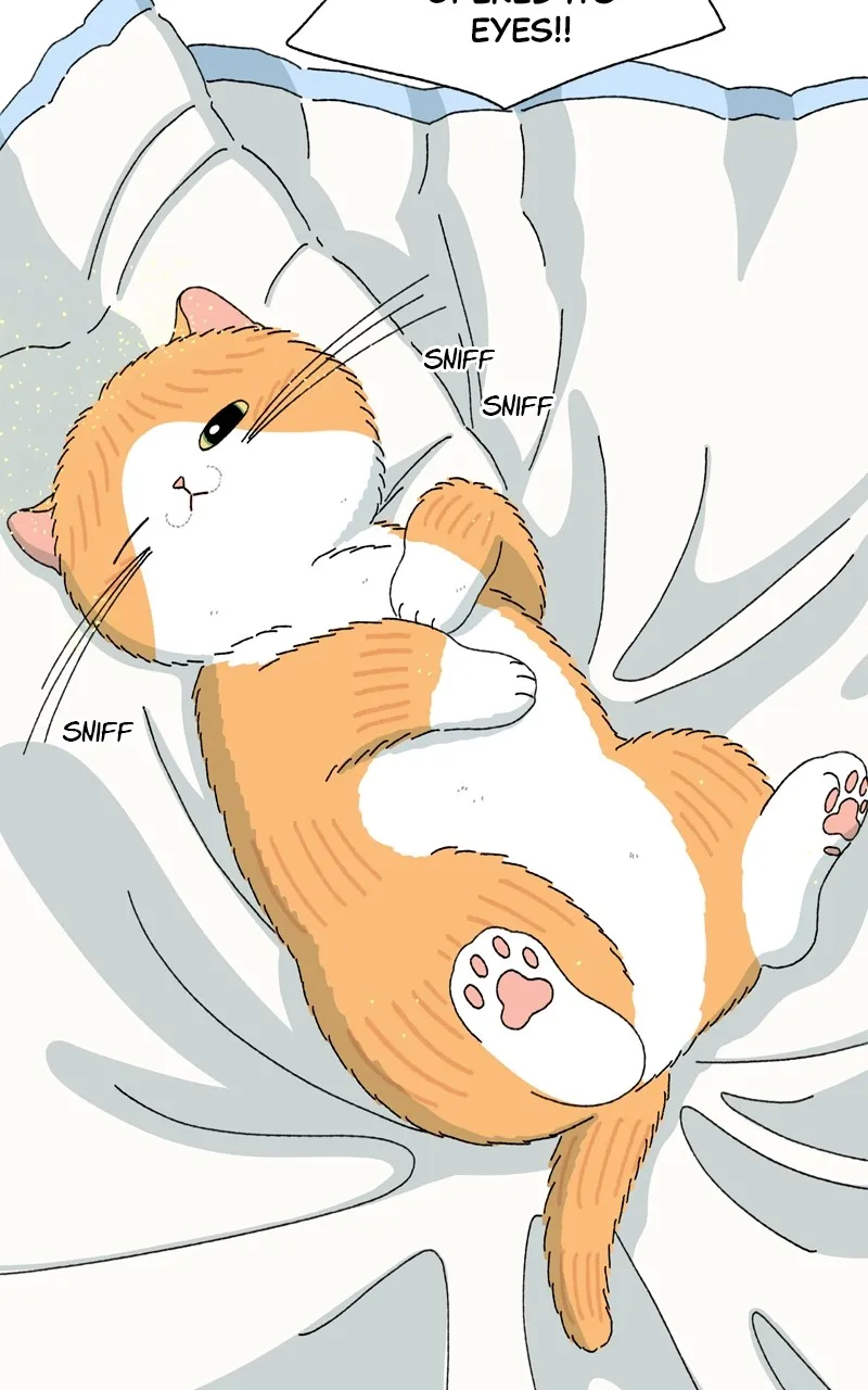 Tata the Cat Chapter 2 page 66 - 