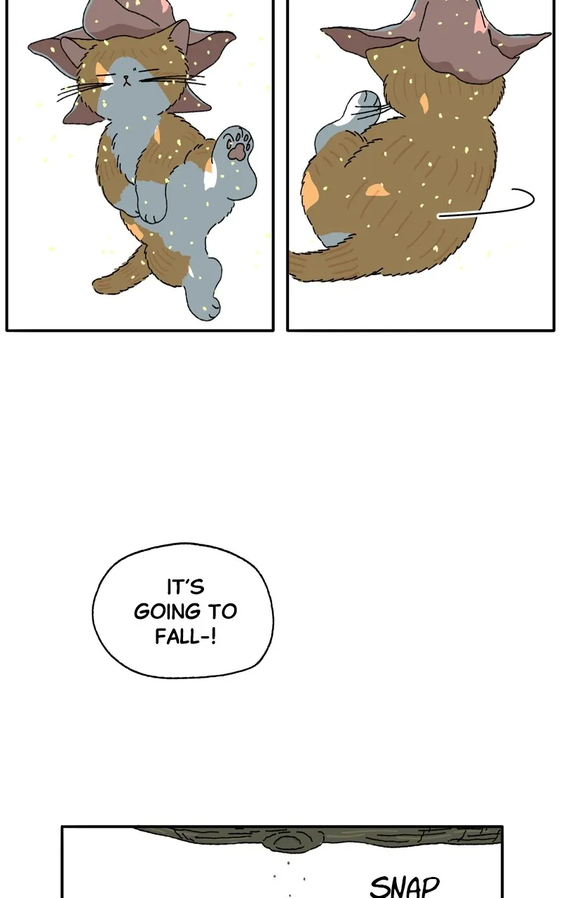 Tata the Cat Chapter 2 page 8 - 