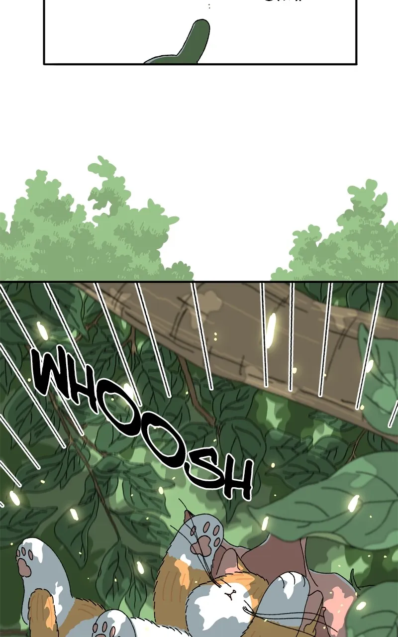 Tata the Cat Chapter 2 page 9 - 