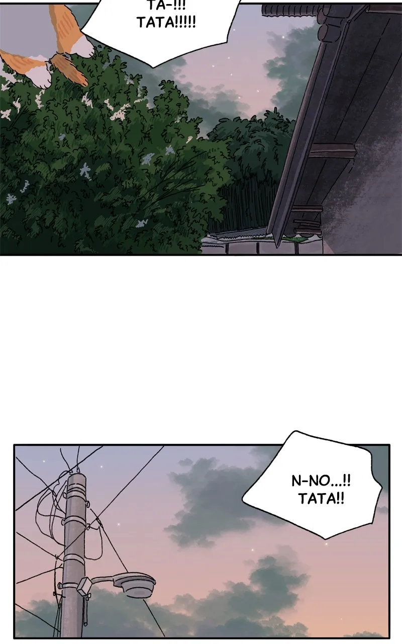 Tata the Cat Chapter 20 page 18 - 