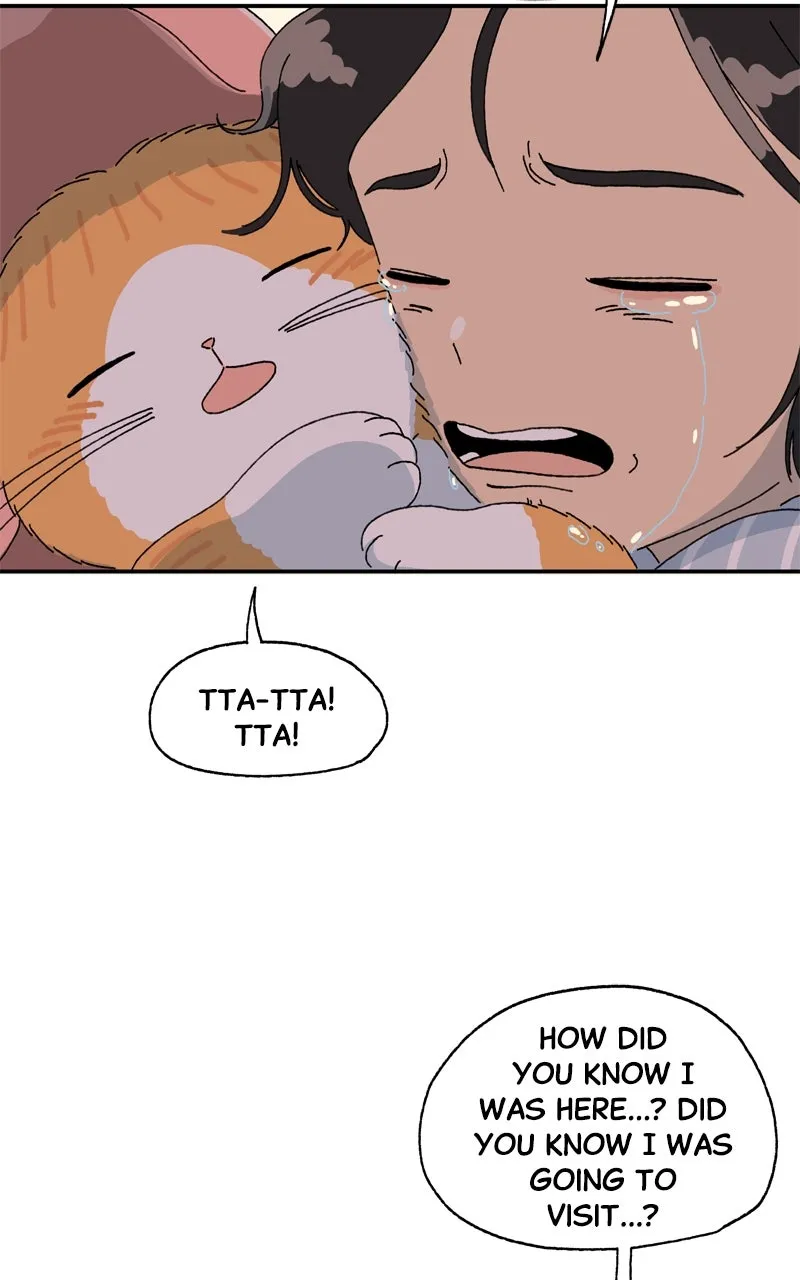 Tata the Cat Chapter 20 page 4 - 