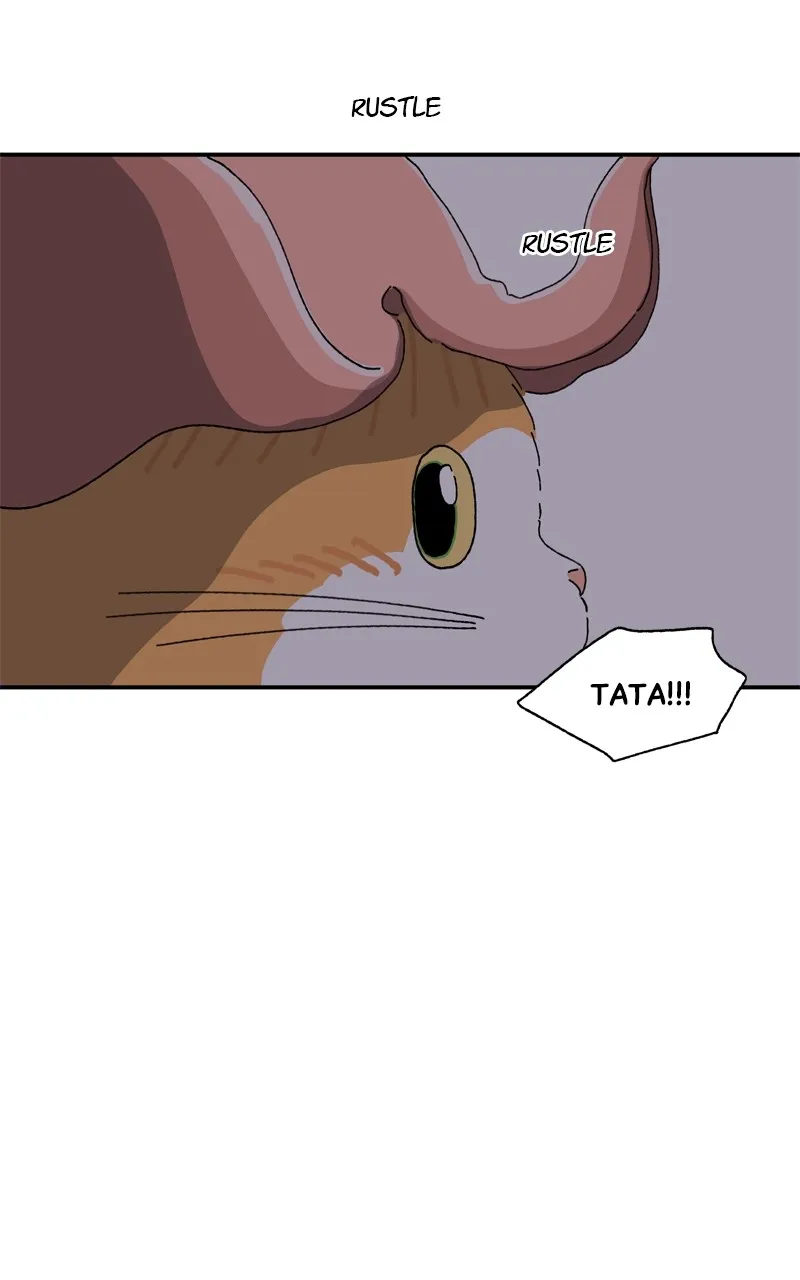 Tata the Cat Chapter 20 page 49 - 