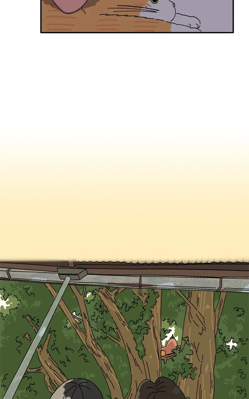 Tata the Cat Chapter 20 page 52 - 