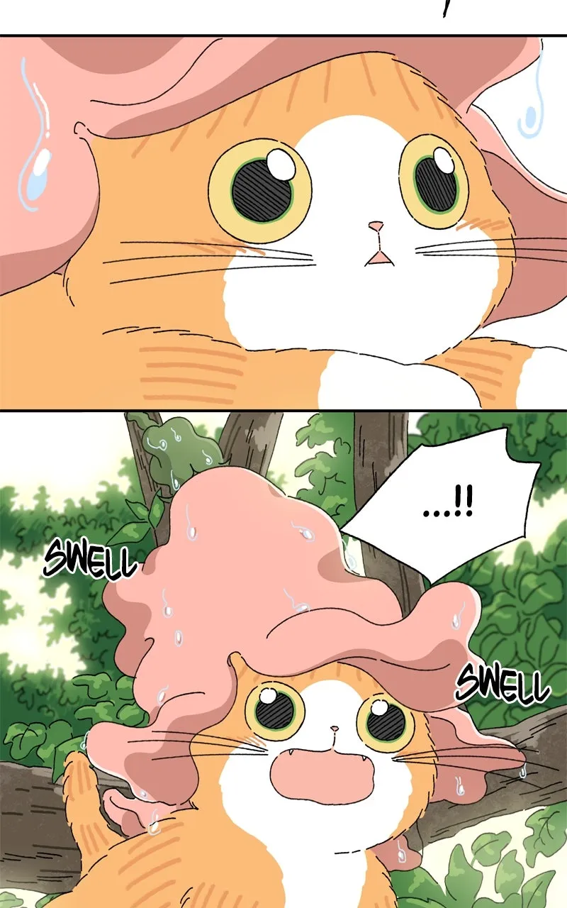 Tata the Cat Chapter 20 page 83 - 