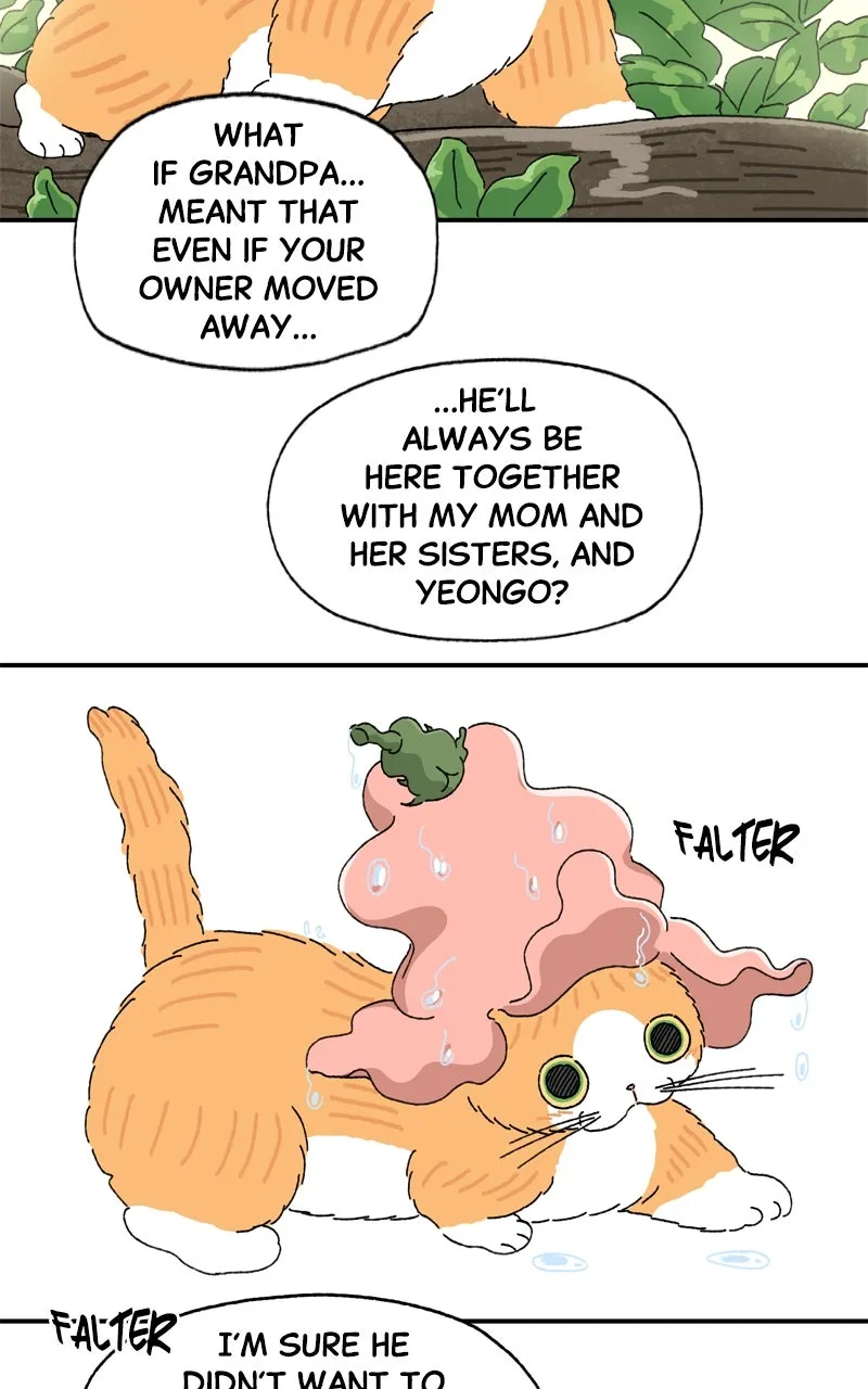 Tata the Cat Chapter 20 page 84 - 