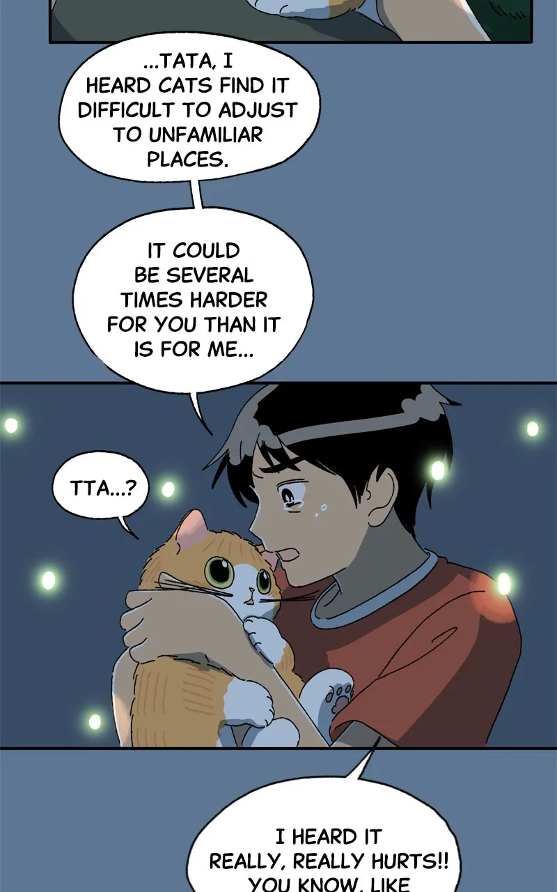 Tata the Cat Chapter 21 page 16 - 