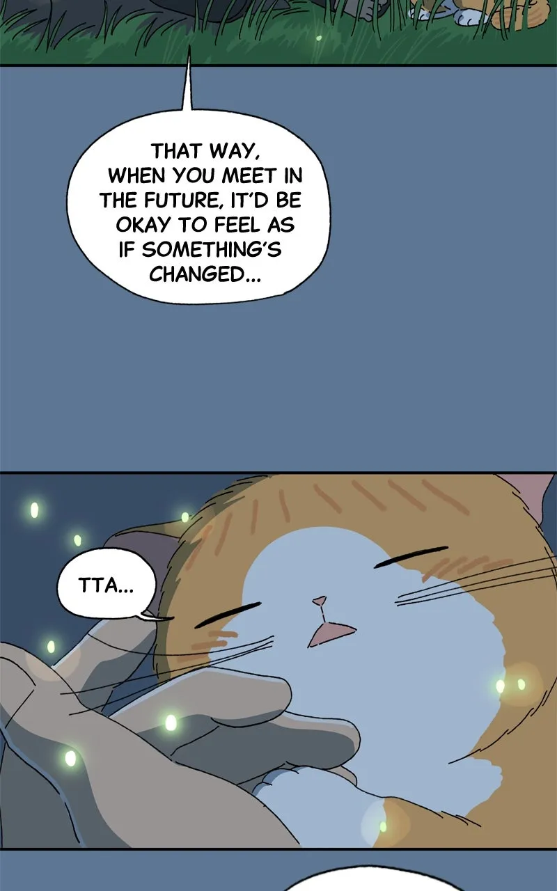 Tata the Cat Chapter 21 page 41 - 