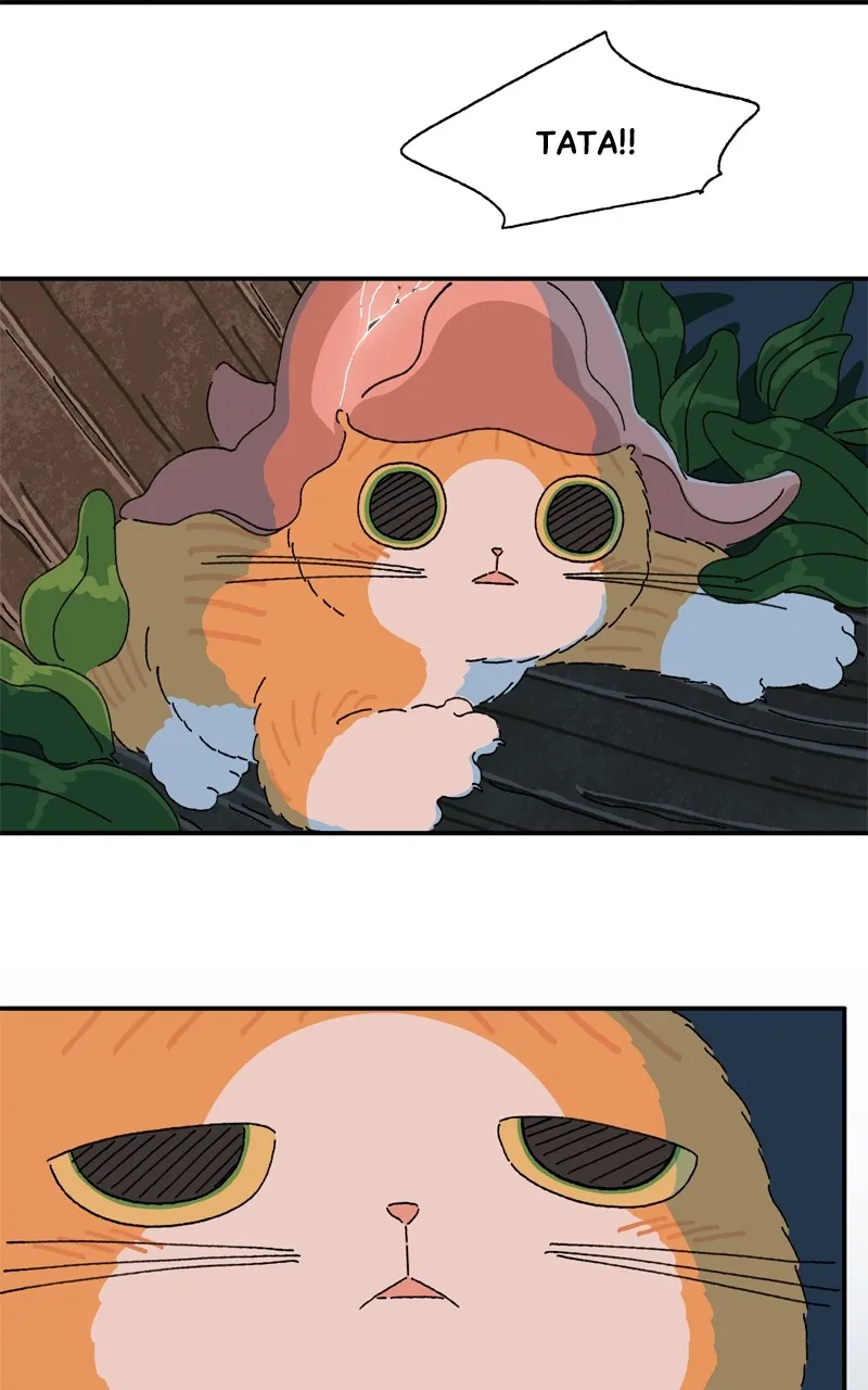 Tata the Cat Chapter 21 page 58 - 