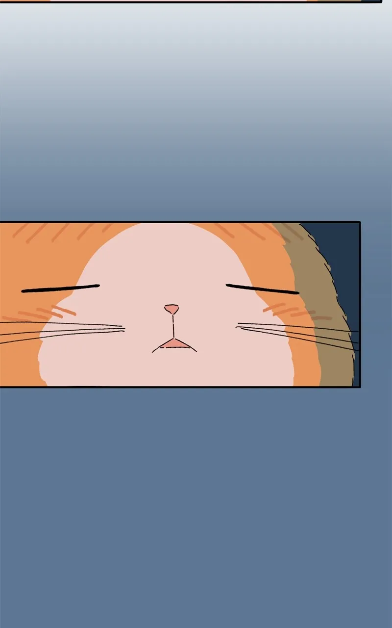 Tata the Cat Chapter 21 page 59 - 