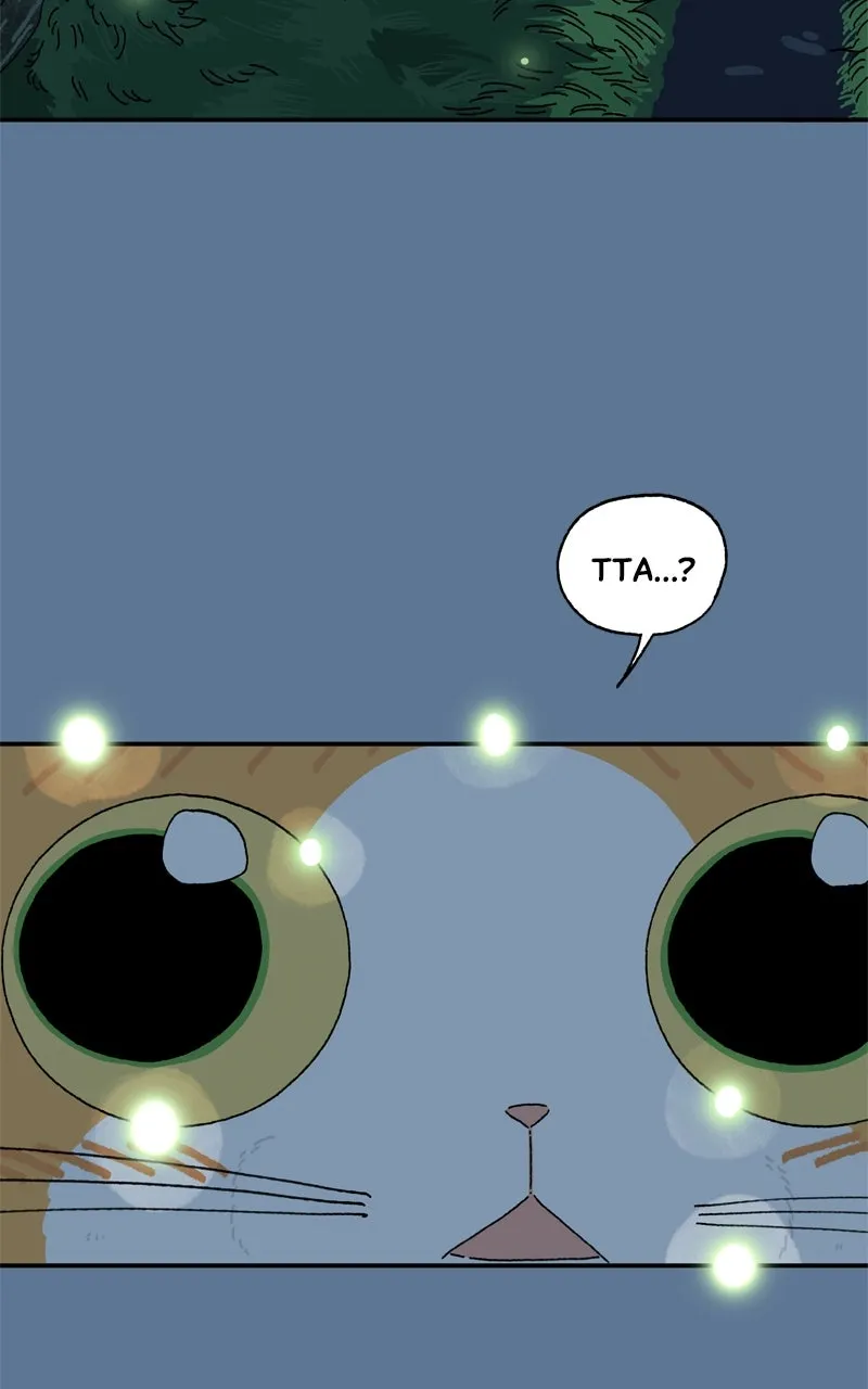 Tata the Cat Chapter 21 page 7 - 
