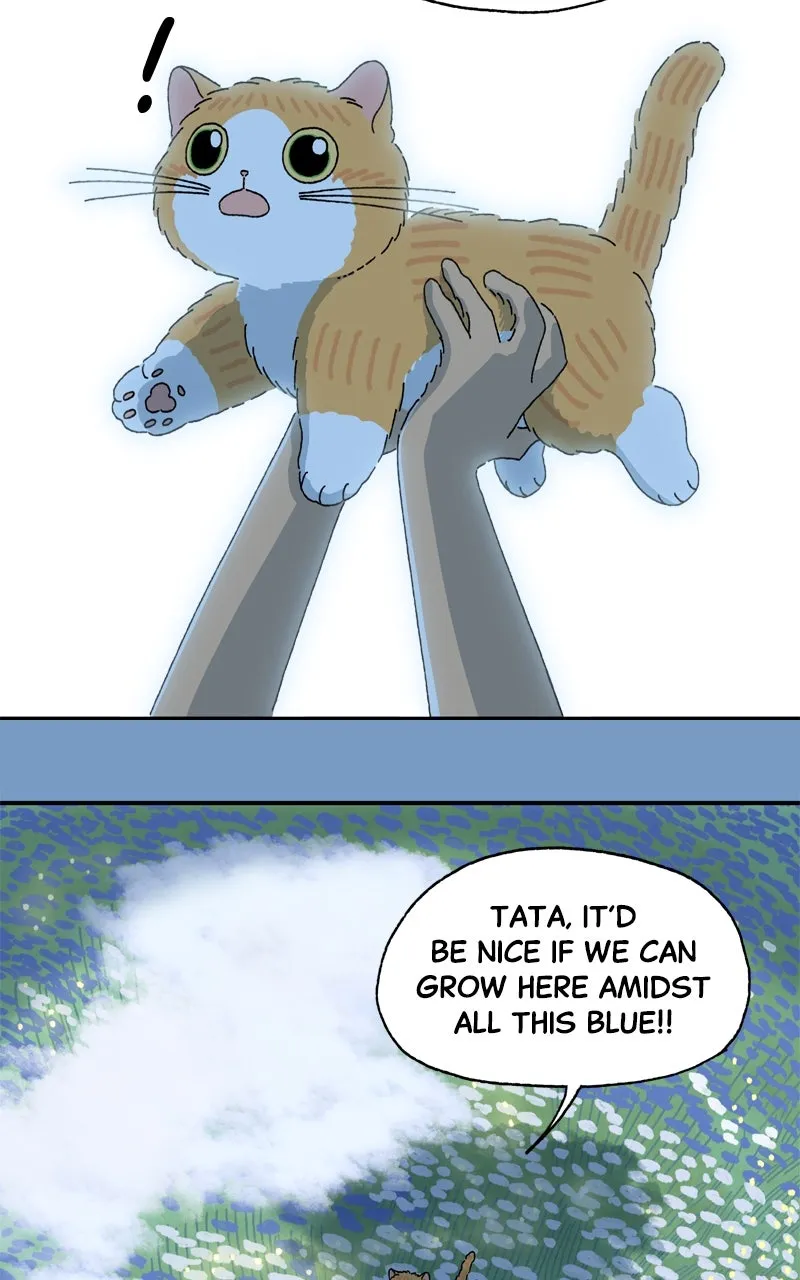 Tata the Cat Chapter 22 page 50 - 