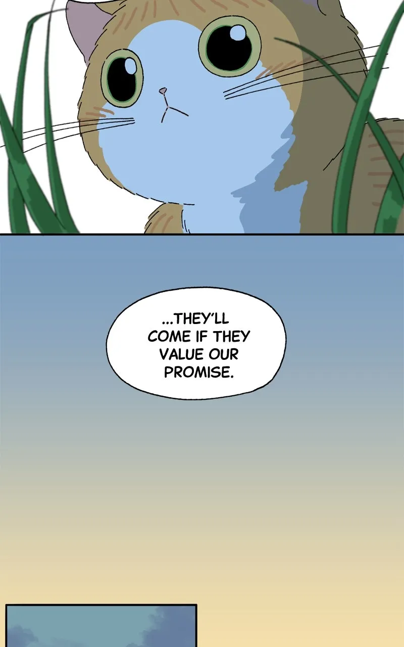 Tata the Cat Chapter 22 page 61 - 