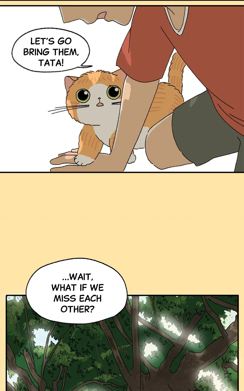 Tata the Cat Chapter 22 page 68 - 