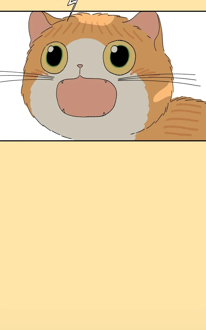 Tata the Cat Chapter 22 page 71 - 