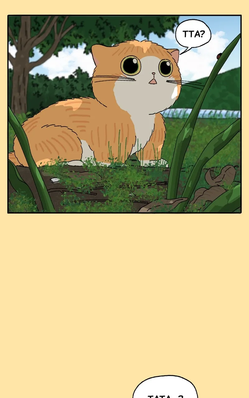 Tata the Cat Chapter 23 page 15 - 