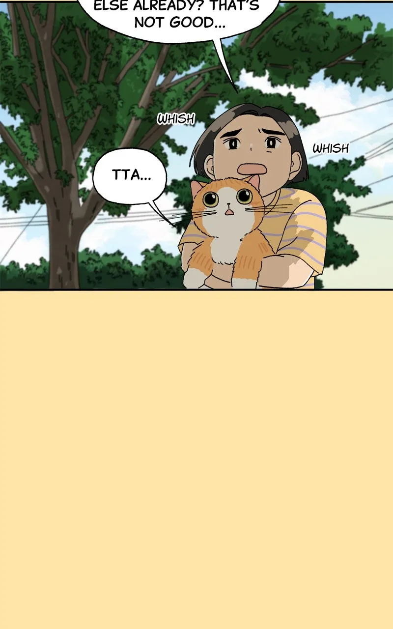 Tata the Cat Chapter 23 page 17 - 