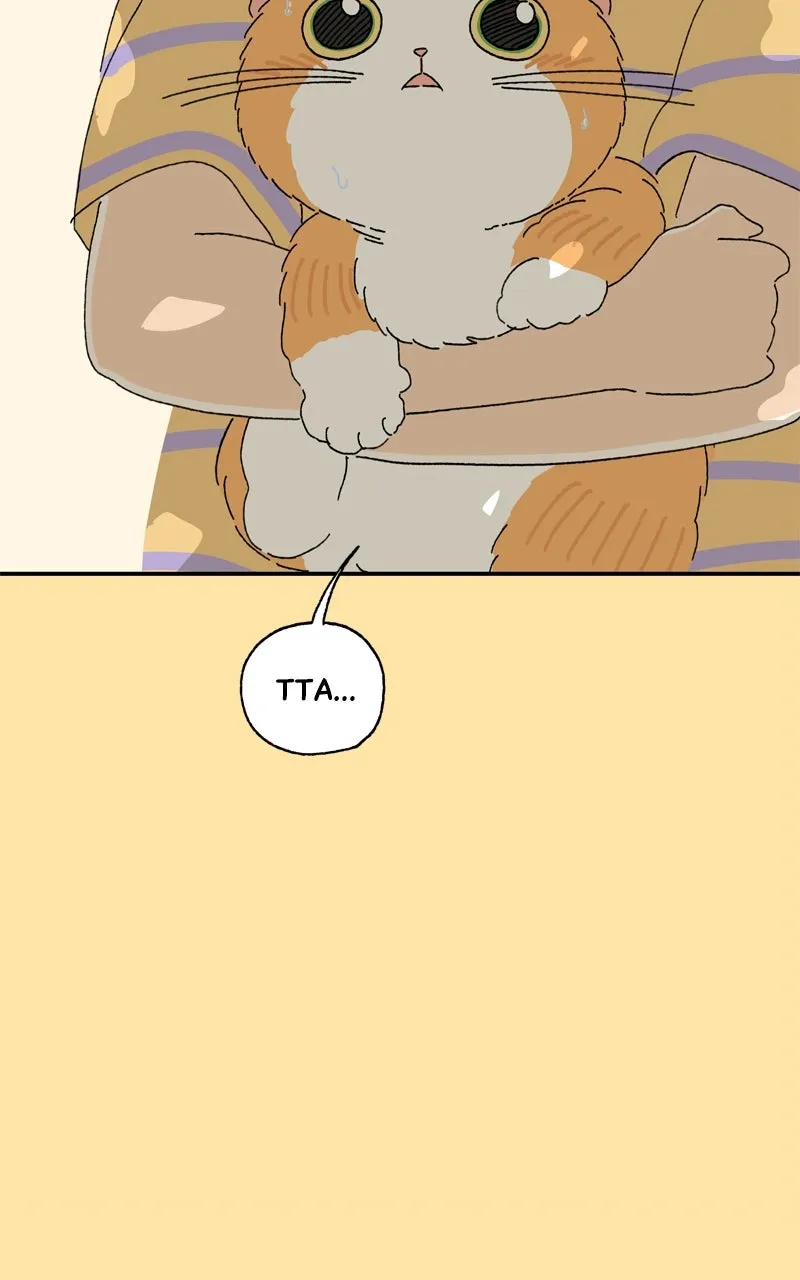 Tata the Cat Chapter 23 page 40 - 