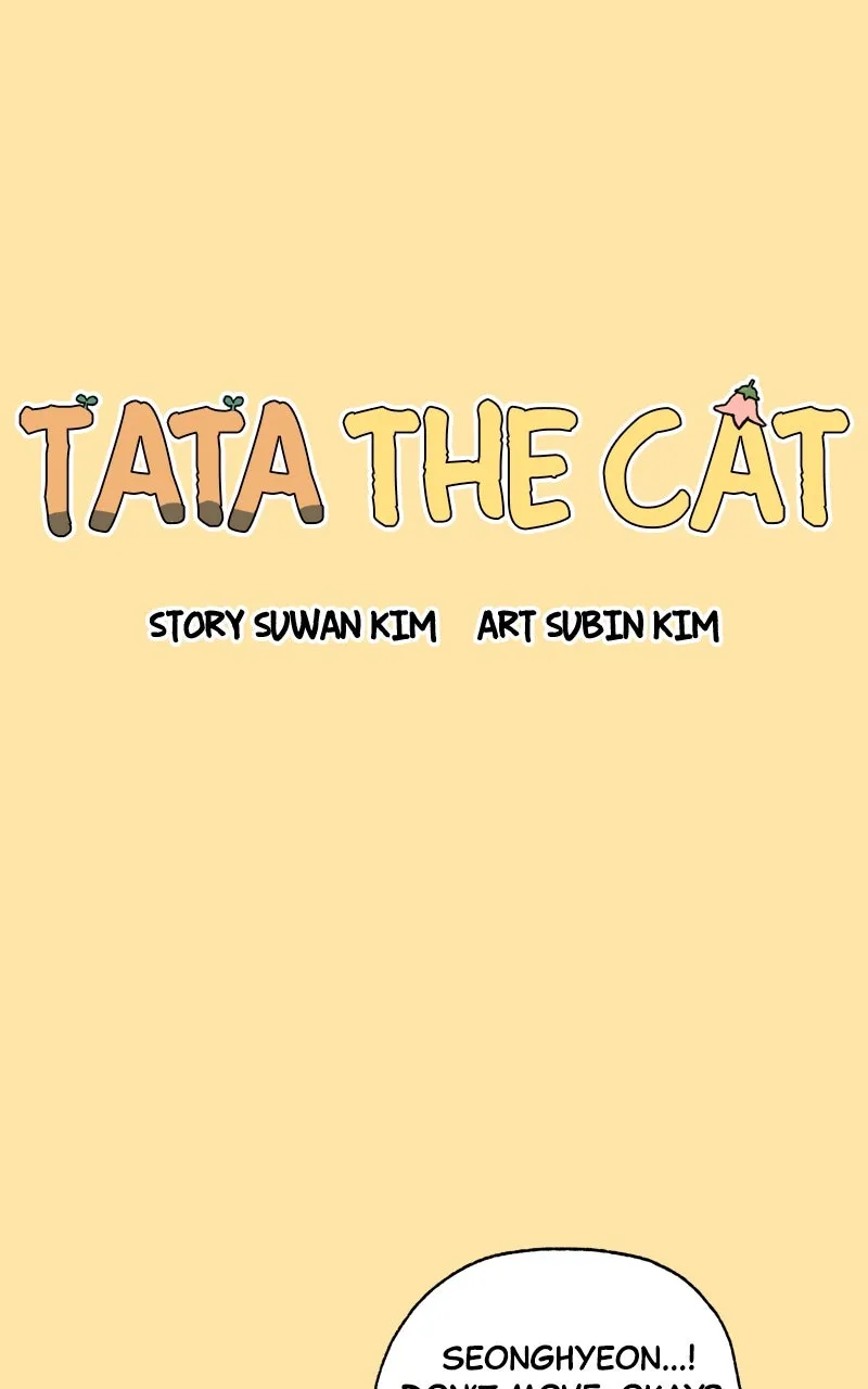 Tata the Cat Chapter 23 page 41 - 