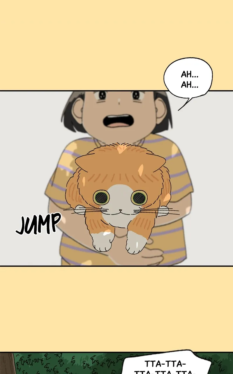 Tata the Cat Chapter 23 page 46 - 